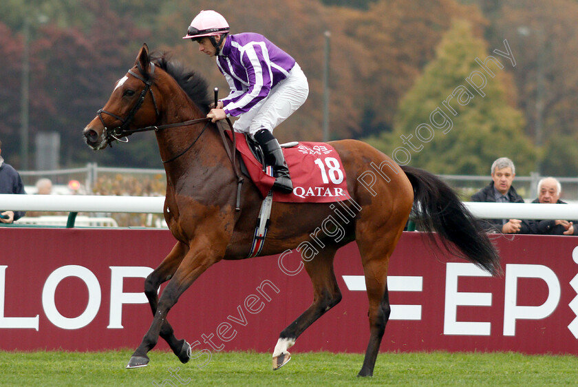 Magical-0001 
 MAGICAL (Wayne Lordan)
Longchamp 7 Oct 2018 - Pic Steven Cargill / Racingfotos.com