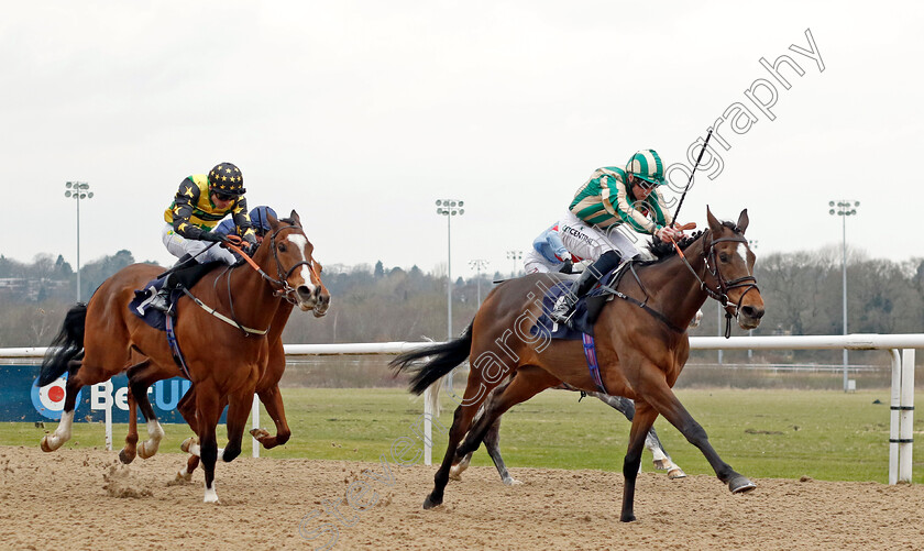 Siempre-Arturo-0002 
 SIEMPRE ARTURO (Jack Mitchell) wins The Build Your Acca With Betuk Handicap Div1
Wolverhampton 9 Mar 2024 - Pic Steven Cargill / Racingfotos.com