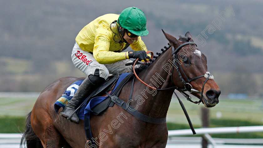 Boyhood-0003 
 BOYHOOD (Paddy Brennan) wins The BetBright Casino Handicap Hurdle Cheltenham 1 Jan 2018 - Pic Steven Cargill / Racingfotos.com