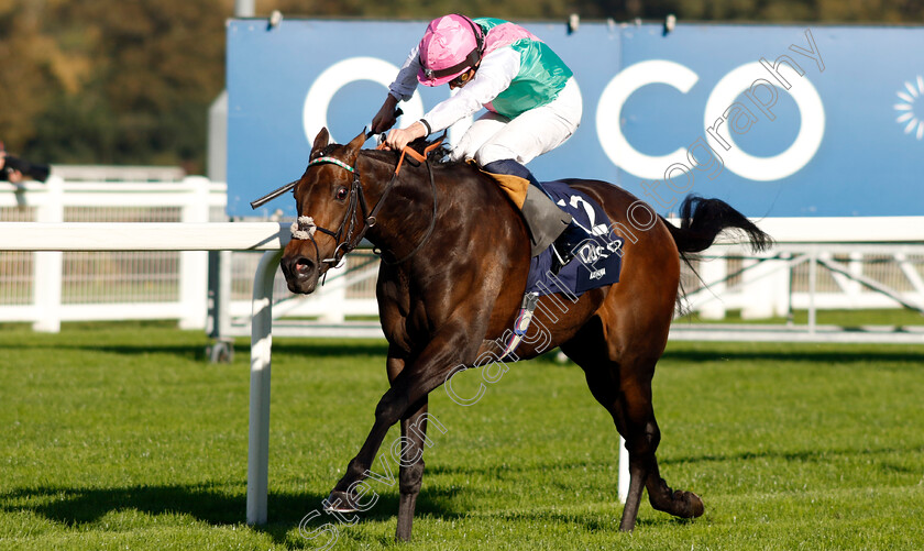 Kalpana-0008 
 KALPANA (William Buick) wins The Qipco British Champions Fillies & Mares Stakes
Ascot 19 Oct 2024 - Pic Steven Cargill / Racingfotos.com