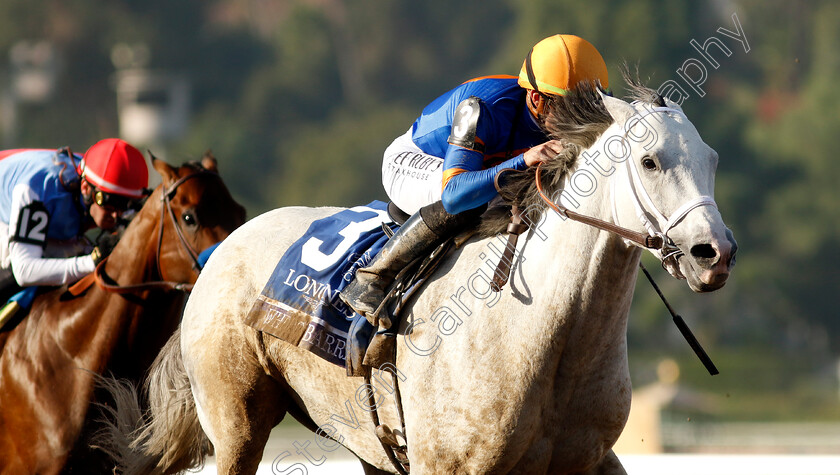 White-Abarrio-0004 
 WHITE ABARRIO (Irad Ortiz) wins The Breeders' Cup Classic
Santa Anita 4 Nov 2023 - pic Steven Cargill / Racingfotos.com