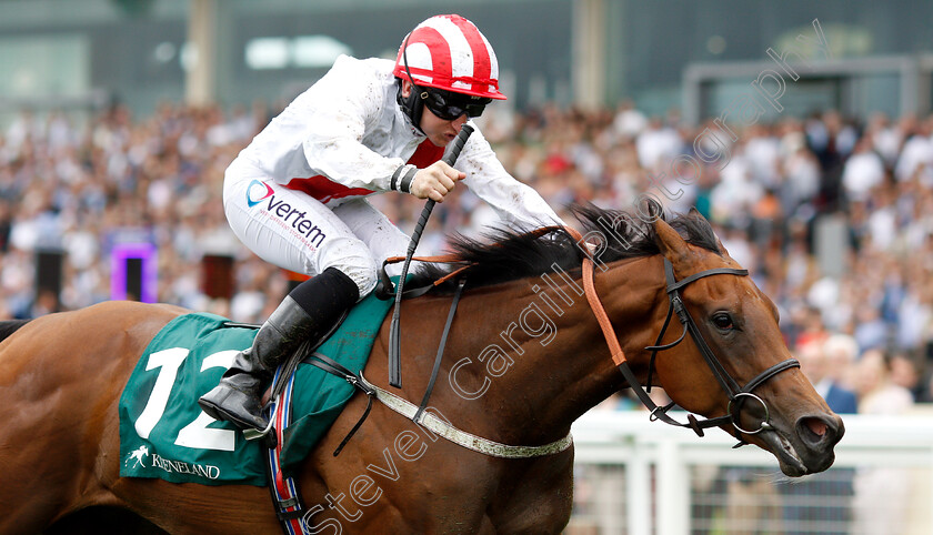 Under-The-Stars-0005 
 UNDER THE STARS (P J McDonald) wins The Princess Margaret Keeneland Stakes
Ascot 27 Jul 2019 - Pic Steven Cargill / Racingfotos.com