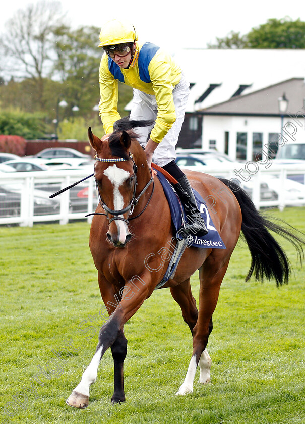 Current-Option-0001 
 CURRENT OPTION (James Doyle)
Epsom 24 Apr 2019 - Pic Steven Cargill / Racingfotos.com