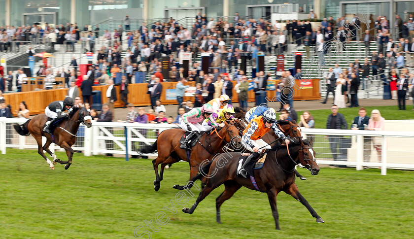 Cliffs-Of-Capri-0001 
 CLIFFS OF CAPRI (Alex Ferguson) wins The Amateur Jockeys Association Handicap
Ascot 5 Oct 2018 - Pic Steven Cargill / Racingfotos.com