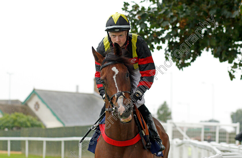 Global-Esteem-0001 
 GLOBAL ESTEEM (Aled Beech) winner of The Sky Sports Racing Sky 415 Handicap
Yarmouth 14 Sep 2021 - Pic Steven Cargill / Racingfotos.com