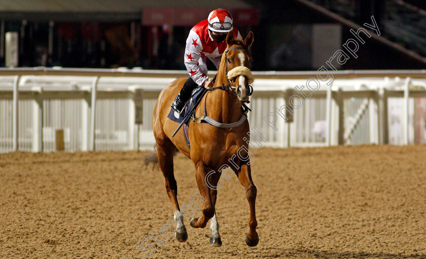 Gold-Brocade-0001 
 GOLD BROCADE (Hollie Doyle)
Wolverhampton 4 Jan 2021 - Pic Steven Cargill / Racingfotos.com