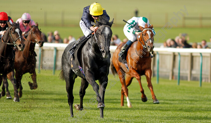 Bodorgan-0003 
 BODORGAN (Ryan Moore) wins The British Stallion Studs EBF Novice Stakes Div2
Newmarket 28 Oct 2022 - Pic Steven Cargill / Racingfotos.com