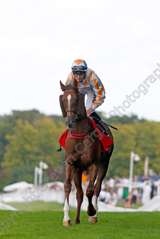 Skysail-0001 
 SKYSAIL (Trevor Whelan)
Sandown 2 Sep 2023 - Pic Steven Cargill / Racingfotos.com