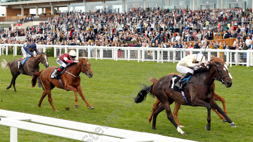 Shambolic-0003 
 SHAMBOLIC (Robert Havlin) wins The Royal Foresters British EBF Fillies Novice Stakes
Ascot 8 Sep 2018 - Pic Steven Cargill / Racingfotos.com