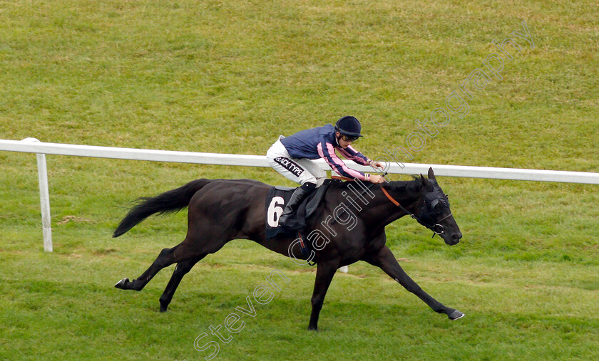 Skymax-0004 
 SKYMAX (Harry Bentley) wins The Regus Handicap
Newbury 19 Jul 2019 - Pic Steven Cargill / Racingfotos.com