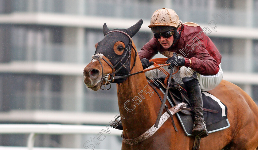 Whatswrongwithyou-0006 
 WHATSWRONGWITHYOU (Nico de Boinville) wins The Read Paul Nicholls Exclusively At Betfair Novices Hurdle Newbury 10 Feb 2018 - Pic Steven Cargill / Racingfotos.com