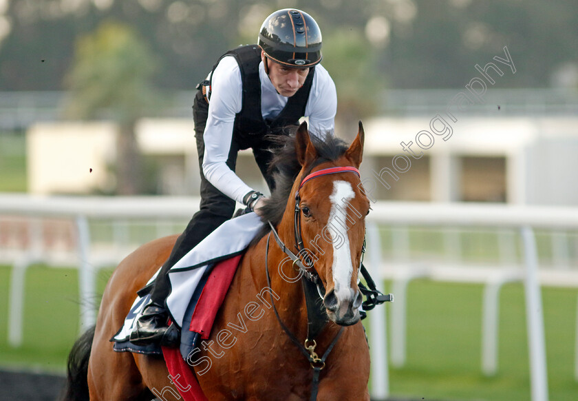 Silky-Wilkie-0002 
 SILKY WILKIE training at the Dubai Racing Carnival 
Meydan 2 Jan 2025 - Pic Steven Cargill / Racingfotos.com