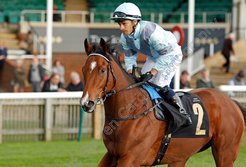 Away-Wit-Da-Fairys 
 AWAY WIT DA FAIRYS (Silvestre De Sousa)
Newmarket 20 Oct 2021 - Pic Steven Cargill / Racingfotos.com