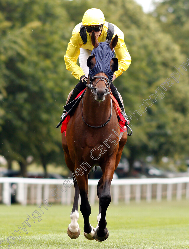 Boerhan-0001 
 BOERHAN (James Doyle)
Newmarket 11 Jul 2019 - Pic Steven Cargill / Racingfotos.com