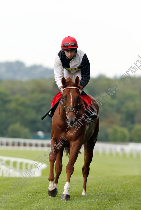 Sparkle-In-His-Eye-0001 
 SPARKLE IN HIS EYE (Oisin Murphy)
Sandown 30 May 2019 - Pic Steven Cargill / Racingfotos.com