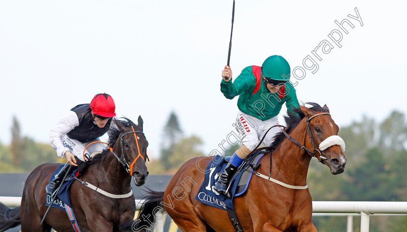 Tahiyra-0002 
 TAHIYRA (Chris Hayes) wins The Coolmore America Matron Stakes
Leopardstown 9 Sep 2023 - Pic Steven Cargill / Racingfotos.com