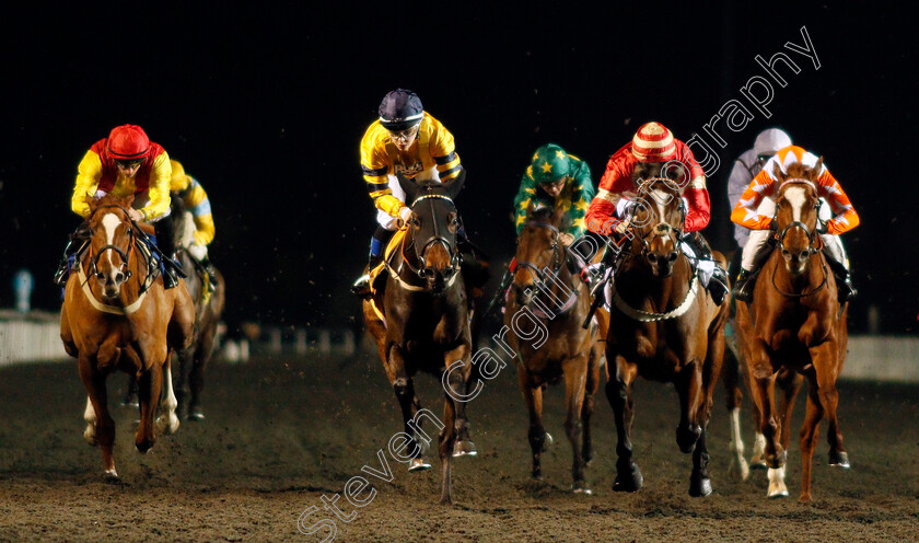 Queen-Constantine-0003 
 QUEEN CONSTANTINE (2nd left, Gaia Boni) beats EXCEEDING POWER (2nd right) and TOROCHICA (right) in The 32Red.com Handicap
Kempton 27 Nov 2019 - Pic Steven Cargill / Racingfotos.com