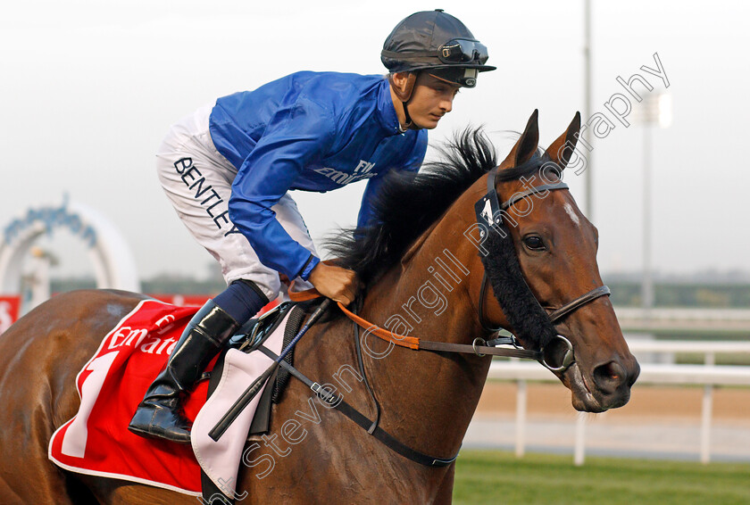 Promising-Run-0001 
 PROMISING RUN (Harry Bentley) Meydan 10 Mar 2018 - Pic Steven Cargill / Racingfotos.com