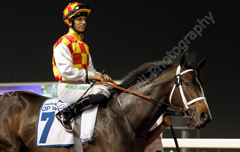 Rio-Angie-0001 
 RIO ANGIE (Pat Dobbs)
Meydan 23 Jan 2020 - Pic Steven Cargill / Racingfotos.com