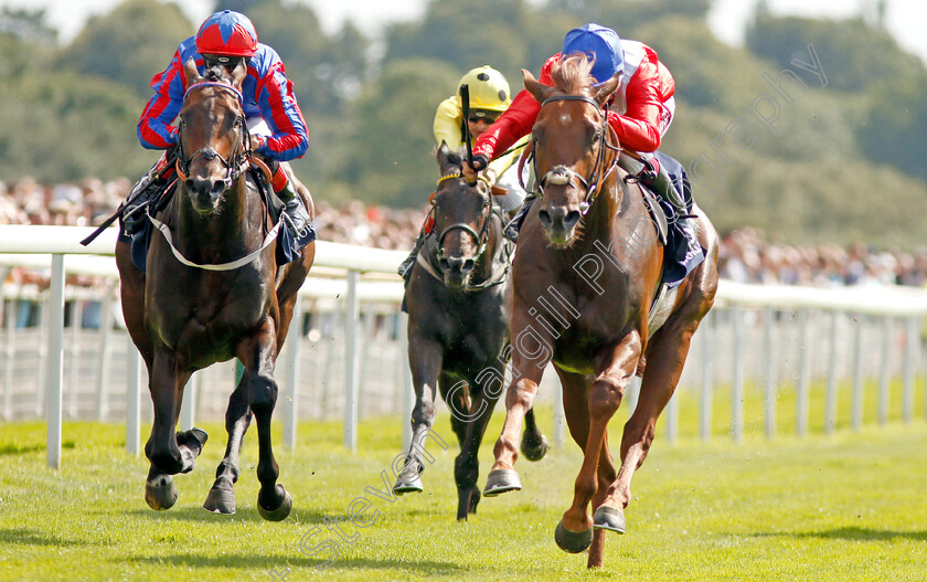 Threat-0005 
 THREAT (right, Oisin Murphy) beats LORD OF THE LODGE (left) in The Al Basti Equiworld Dubai Gimcrack Stakes 
York 23 Aug 2019 - Pic Steven Cargill / Racingfotos.com