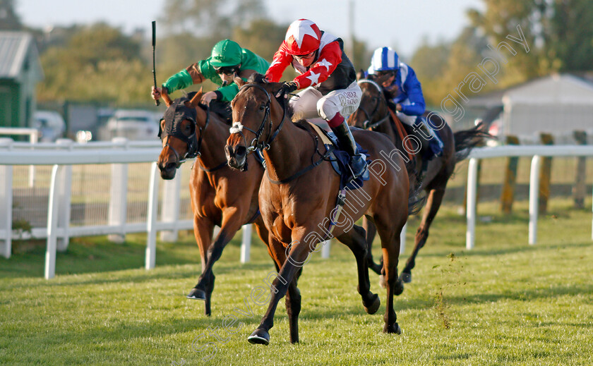 Warren-Rose-0007 
 WARREN ROSE (Oisin Murphy) wins The Download The Attheraces App Fillies Novice Stakes
Yarmouth 25 Aug 2020 - Pic Steven Cargill / Racingfotos.com