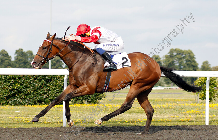 Fortune-And-Glory-0004 
 FORTUNE AND GLORY (David Egan) wins The Wise Betting At racingtv.com Handicap
Kempton 10 Jul 2019 - Pic Steven Cargill / Racingfotos.com