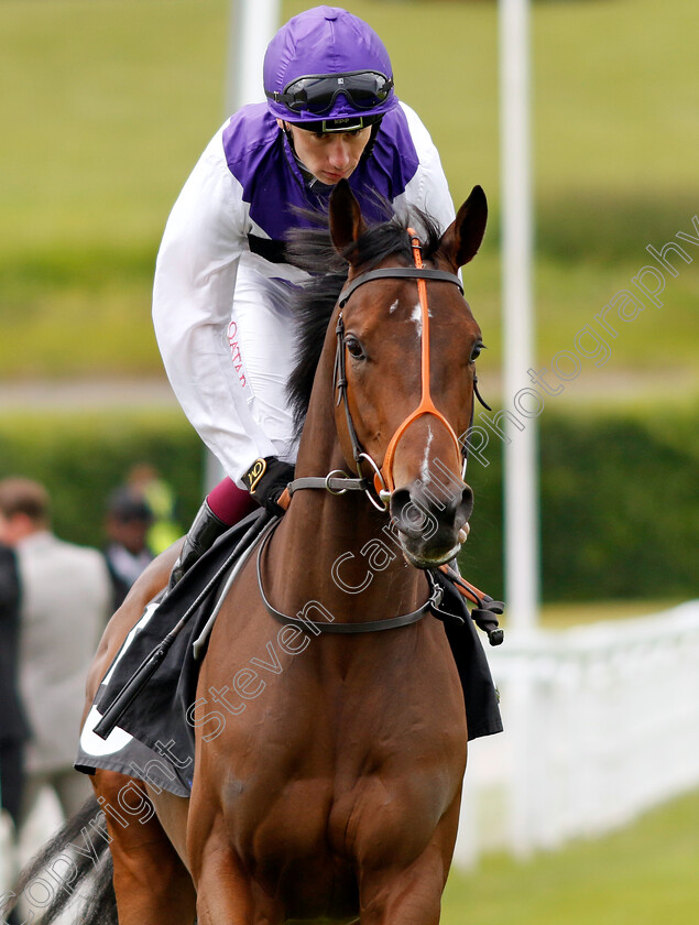 Principality-0005 
 PRINCIPALITY (Oisin Murphy) winner of The Hallgarten & Novum Wines British EBF Novice Stakes
Goodwood 9 Jun 2024 - pic Steven Cargill / Racingfotos.com