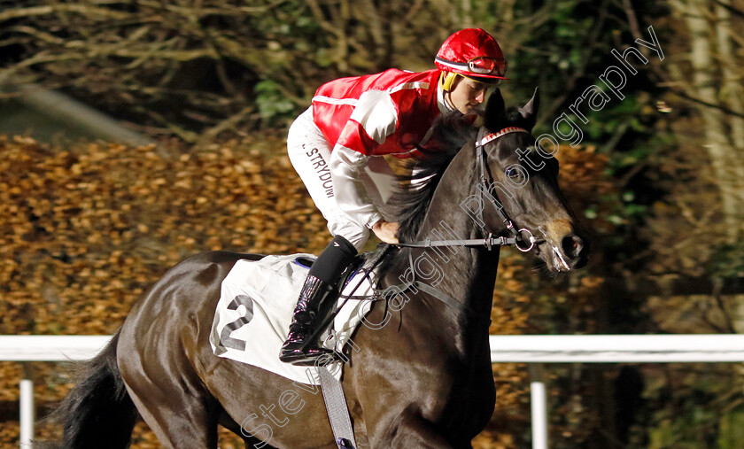 Garibaldi-Memory-0001 
 GARIBALDI MEMORY (Kyle Strydom)
Kempton 11 Dec 2024 - Pic Steven Cargill / Racingfotos.com