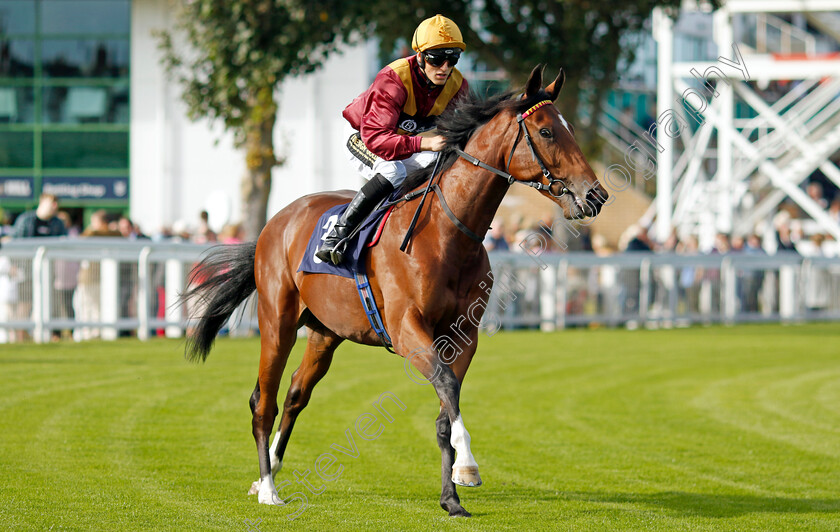 Magna-Gee-Gee-0001 
 MAGNA GEE GEE (George Wood)
Yarmouth 17 Sep 2024 - Pic Steven Cargill / Racingfotos.com