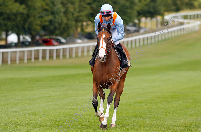 Rattling 
 RATTLING (Dane O'Neill)
Newmarket 29 Jul 2022 - Pic Steven Cargill / Racingfotos.com