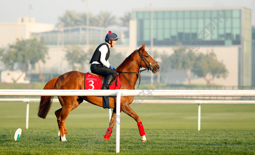 Dal-Harraild-0001 
 DAL HARRAILD exercising in preparation for the Dubai Gold Cup Meydan 29 Mar 2018 - Pic Steven Cargill / Racingfotos.com