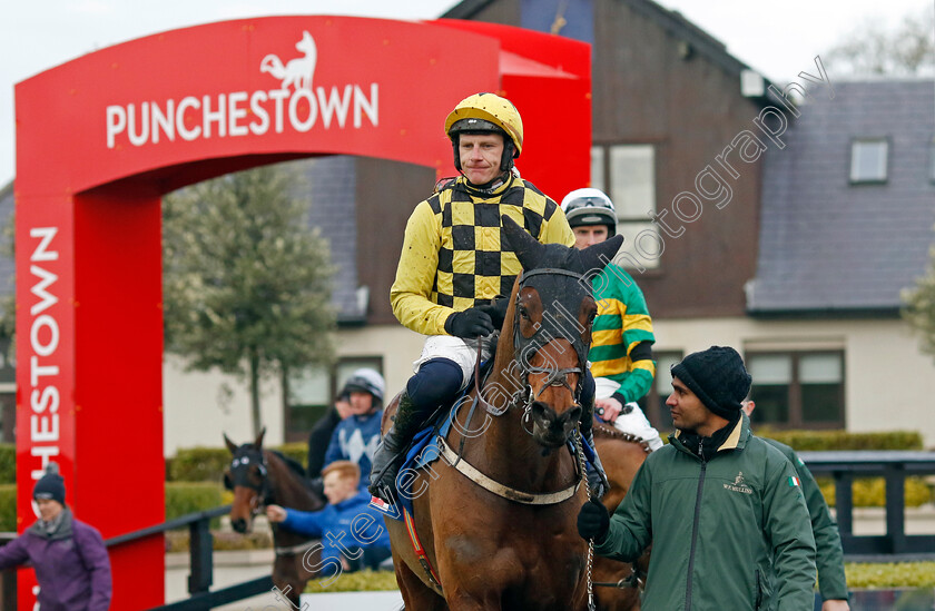 Salvator-Mundi-0015 
 SALVATOR MUNDI (Paul Townend) winner of The Sky Bet Moscow Flyer Novice Hurdle
Punchestown 12 Jan 2025 - Pic Steven Cargill / Racingfotos.com