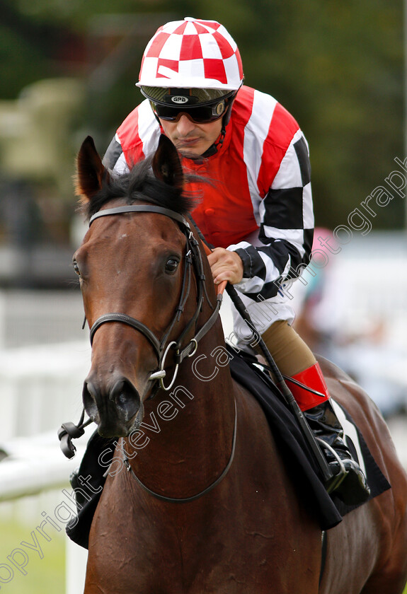 Jaleel-0001 
 JALEEL (Andrea Atzeni)
Newbury 17 Aug 2018 - Pic Steven Cargill / Racingfotos.com