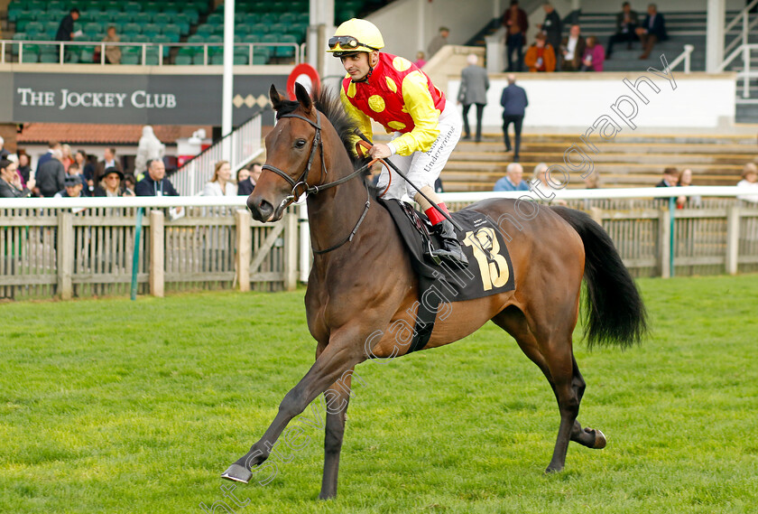 Warren-Hill-0002 
 WARREN HILL (Andrea Atzeni)
Newmarket 29 Oct 2022 - Pic Steven Cargill / Racingfotos.com