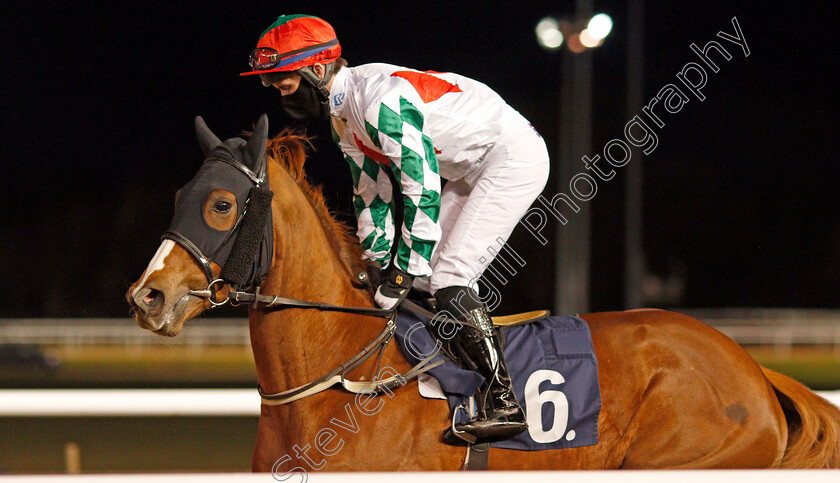 Clearly-Crystal-0001 
 CLEARLY CRYSTAL (Dylan Hogan)
Wolverhampton 12 Mar 2021 - Pic Steven Cargill / Racingfotos.com