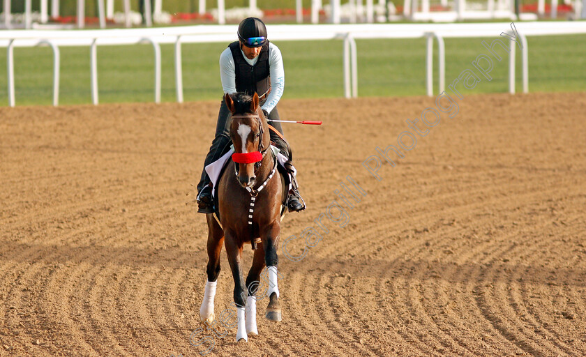 Hot-Rod-Charlie-0001 
 HOT ROD CHARLIE training for the Dubai World Cup
Meydan, Dubai, 23 Mar 2022 - Pic Steven Cargill / Racingfotos.com