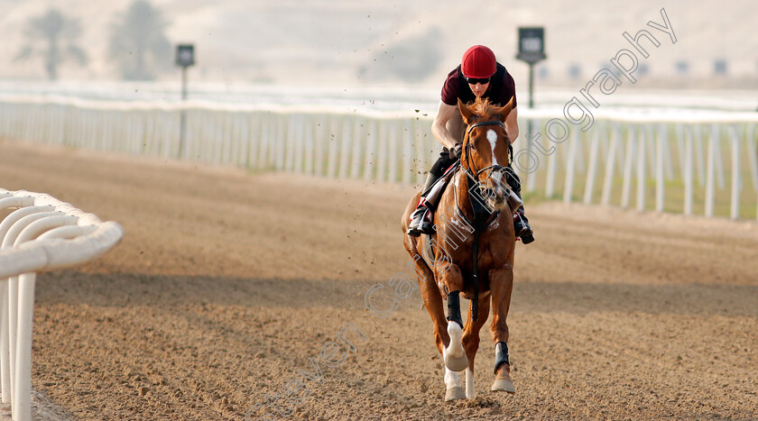 Sovereign-0006 
 SOVEREIGN training for the Bahrain International Trophy
Rashid Equestrian & Horseracing Club, Bahrain, 18 Nov 2020