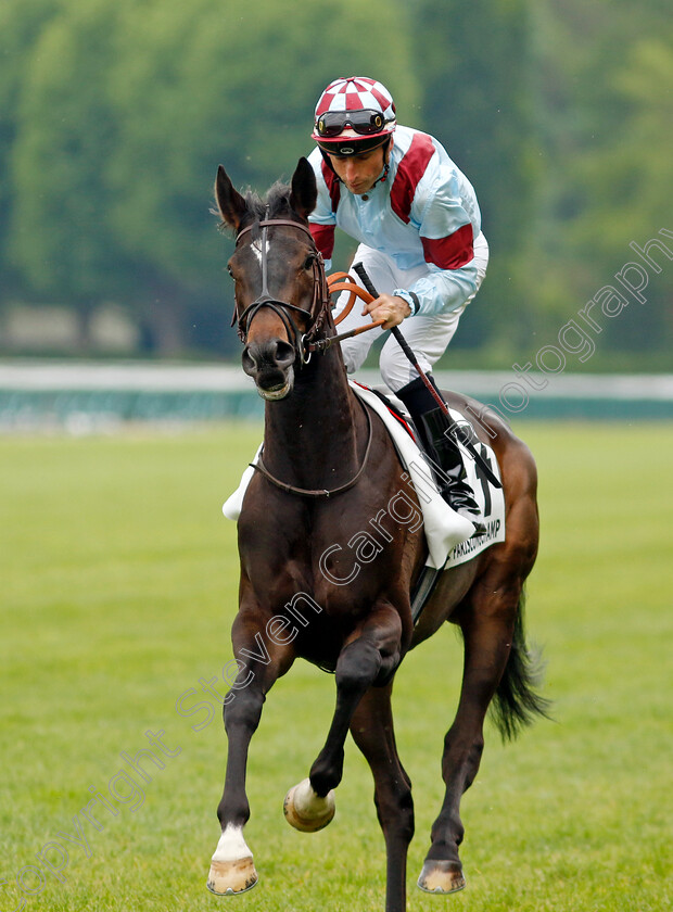 Iberia-0001 
 IBERIA (H Lebouc)
Longchamp 12 May 2024 - Pic Steven Cargill / Racingfotos.com