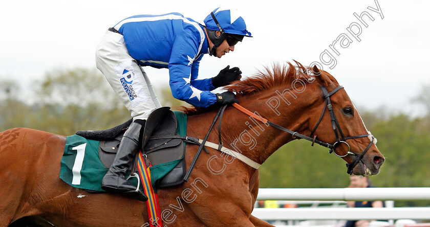 Monsieur-Gibraltar-0010 
 MONSIEUR GIBRALTAR (Lorcan Williams) wins The Brian Babbage Memorial Open Hunters Chase Cheltenham 4 May 2018 - Pic Steven Cargill / Racingfotos.com