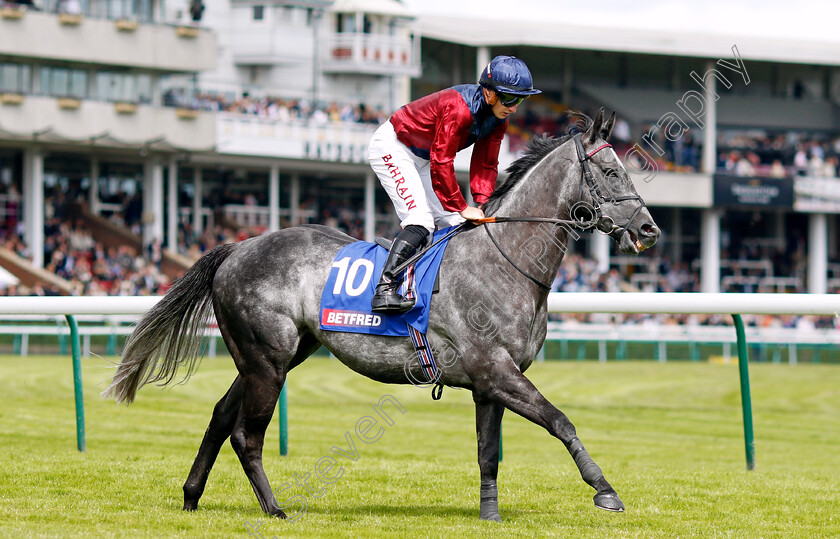 Tiber-Flow-0006 
 TIBER FLOW (Tom Marquand) winner of The Betfred John Of Gaunt Stakes
Haydock 8 Jun 2024 - Pic Steven Cargill / Racingfotos.com