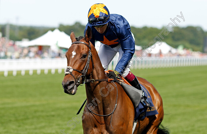 Warda-Jamila-0001 
 WARDA JAMILA (Oisin Murphy)
Royal Ascot 20 Jun 2024 - Pic Steven Cargill / Racingfotos.com