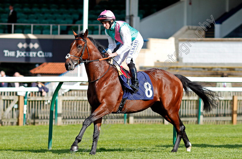 Midi-0001 
 MIDI (Ryan Moore) Newmarket 28 Sep 2017 - Pic Steven Cargill / Racingfotos.com