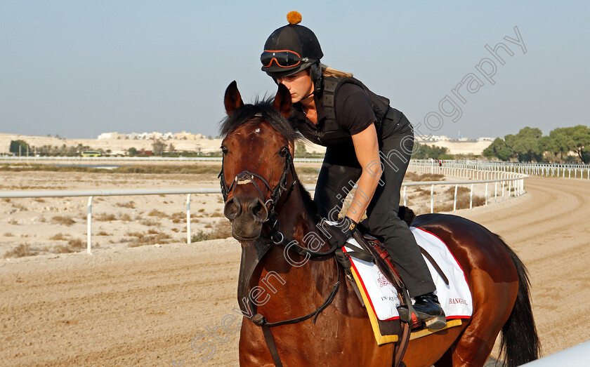 Bangkok-0002 
 BANGKOK training for the Bahrain International Trophy
Rashid Equestrian & Horseracing Club, Bahrain, 19 Nov 2020 - Pic Steven Cargill / Racingfotos.com