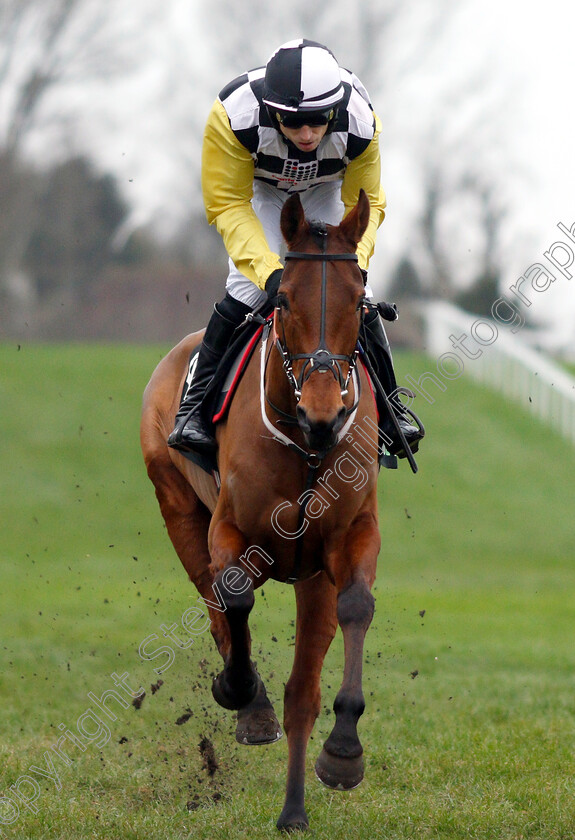 Mercy-Mercy-Me-0002 
 MERCY MERCY ME (Paddy Brennan)
Sandown 5 Jan 2019 - Pic Steven Cargill / Racingfotos.com