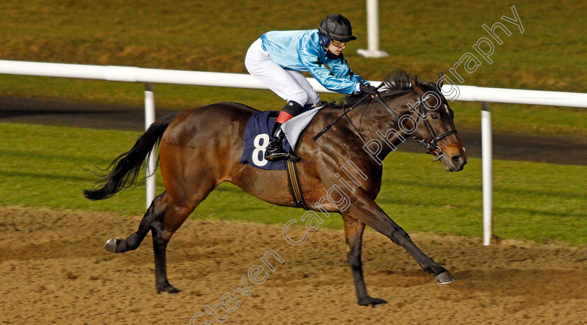 Arabic-Welcome-0003 
 ARABIC WELCOME (Christian Howarth) wins The Heed Your Hunch At Betway Handicap Div1
Wolverhampton 18 Jan 2021 - Pic Steven Cargill / Racingfotos.com