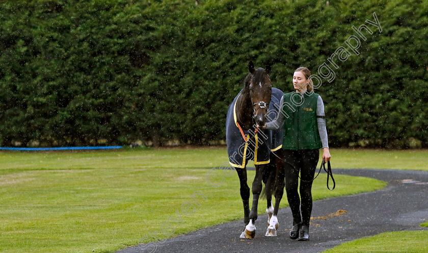 Murphy s-Dream-0004 
 MURPHY'S DREAM
Southwell 4 Oct 2022 - Pic Steven Cargill / Racingfotos.com