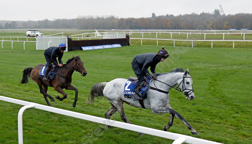 Lac-De-Constance-and-Heltenham-0001 
 LAC DE CONSTANCE (right) and HELTENHAM (left) 
Coral Gold Cup gallops morning Newbury 19 Nov 20234 - Pic Steven Cargill / Racingfotos.com