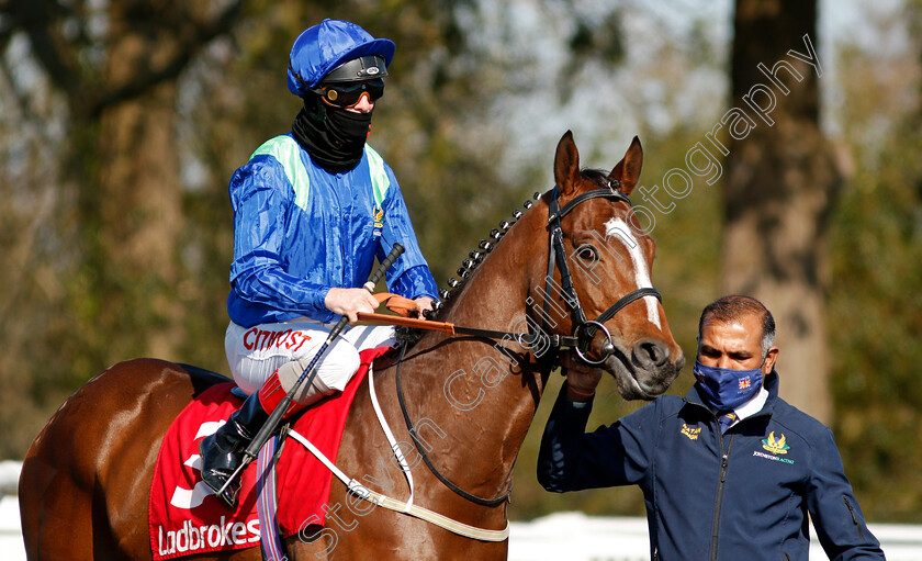 Bravado-0001 
 BRAVADO (Franny Norton)
Lingfield 2 Apr 2021 - Pic Steven Cargill / Racingfotos.com