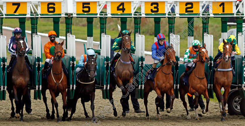 Classy-Dame-0003 
 winner CLASSY DAME (2nd right, Adam Kirby) breaks from the stalls with the field for The Ladbrokes Watch Racing Online For Free Handicap
Lingfield 6 Feb 2021 - Pic Steven Cargill / Racingfotos.com