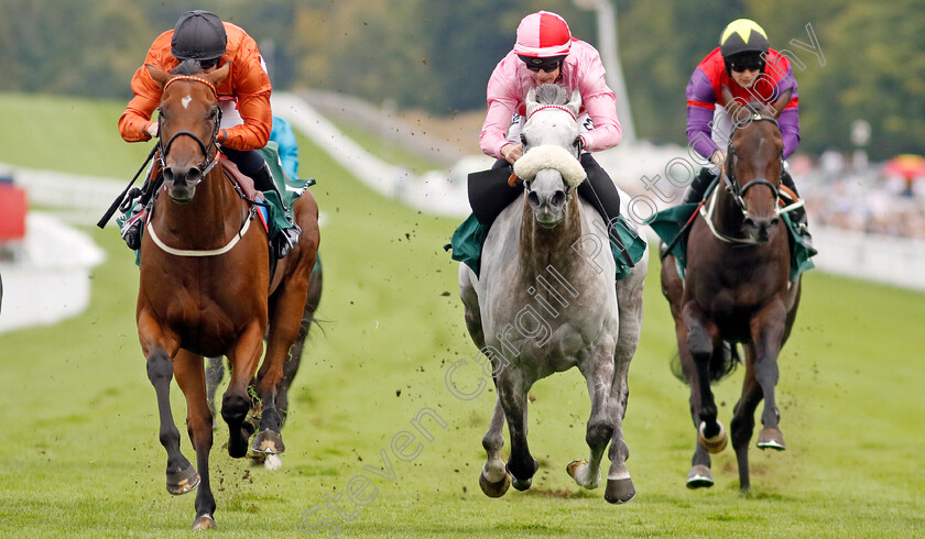 Double-Or-Bubble-0003 
 DOUBLE OR BUBBLE (left, Jack Mitchell) beats MISTY GREY (centre) in The Weatherbys Stallion Book Supreme Stakes
Goodwood 28 Aug 2022 - Pic Steven Cargill / Racingfotos.com